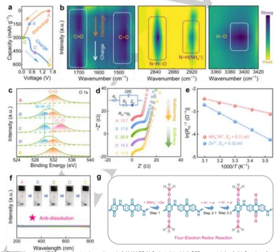 ?同濟(jì)劉明賢Angew：有機(jī)超結(jié)構(gòu)中非金屬NH4+/H+電荷載體共儲(chǔ)能機(jī)制構(gòu)建高性能水系鋅-有機(jī)電池
