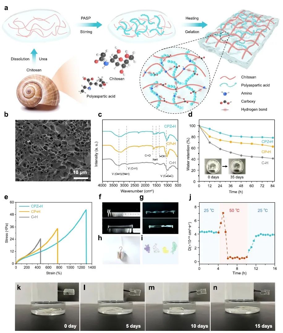 清華/港理工：最新Nature子刊！