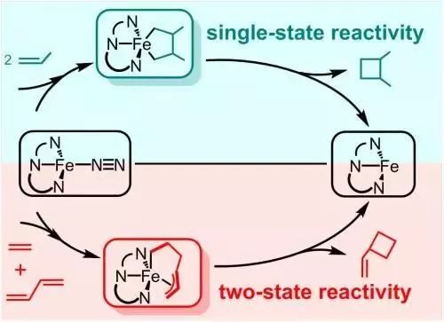 理論計(jì)算研究鐵促發(fā)[2+2]及[2+1]烯烴環(huán)加成反應(yīng)機(jī)理