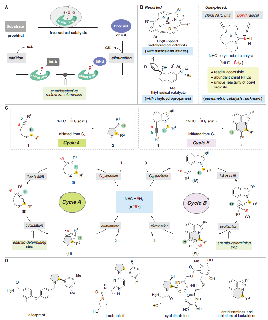 中科大，最新Science！