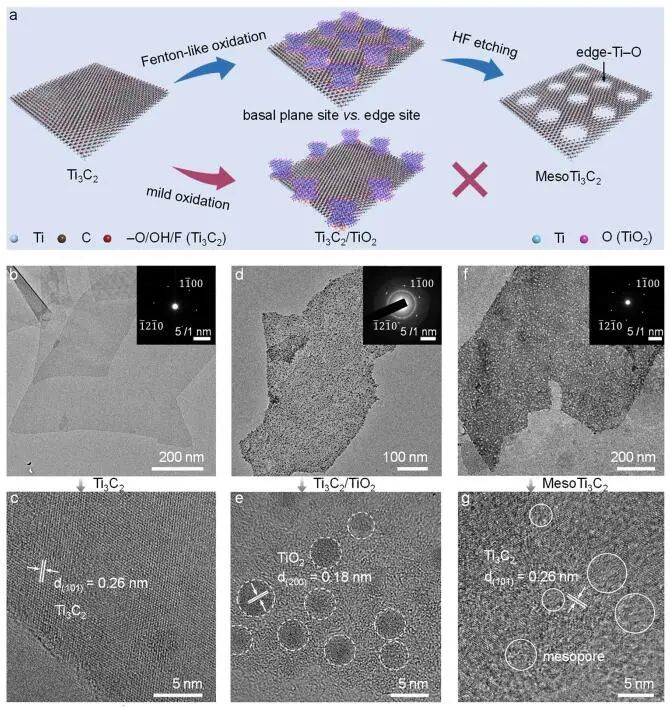 ?趙東元院士/晁棟梁研究員，最新JACS！