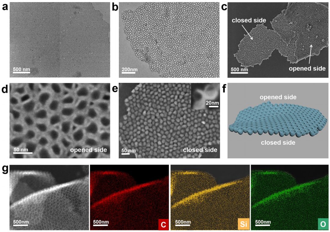 趙東元院士，最新JACS！