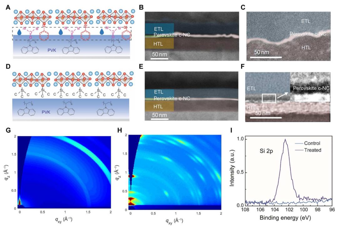 超燃！他，Nature Catalysis、Science Advances再次背靠背！