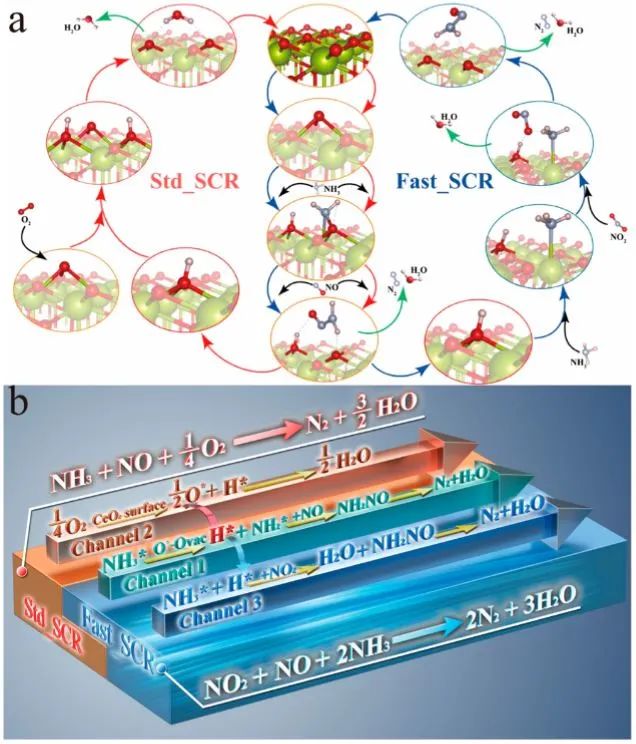 計算日報||頂刊集錦：JACS/Angew/AM/ACS Catal./Small等計算成果