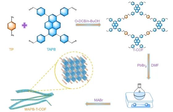 福州大學(xué)ACS Catalysis：構(gòu)建0D/1D MAPbBr3/COF異質(zhì)結(jié)，實(shí)現(xiàn)LED驅(qū)動(dòng)高效S-S耦合反應(yīng)