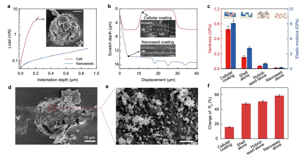 刷新記錄！史上最強(qiáng)抗侵蝕涂層問世，四單位強(qiáng)強(qiáng)聯(lián)合，登上Nature子刊！