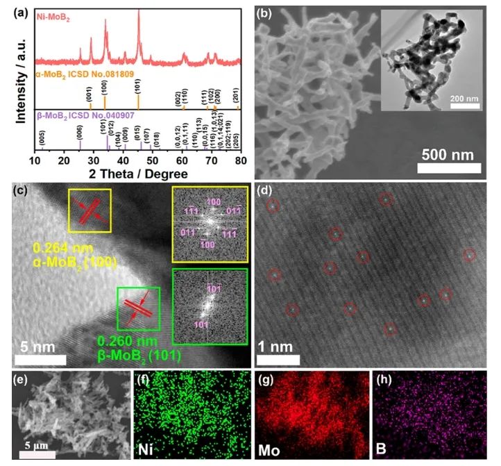 東北師范大學ACS Energy Letters：過渡金屬單原子修飾MoB2，用于高效穩(wěn)定電催化HER