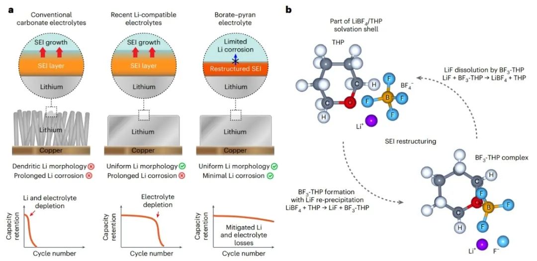 ?Nature Energy：硼酸鹽-吡喃貧電解質(zhì)鋰金屬電池