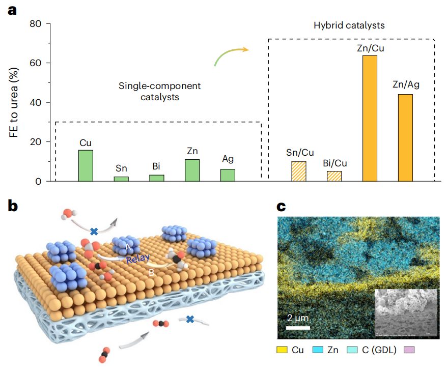 超燃！他，Nature Catalysis、Science Advances再次背靠背！