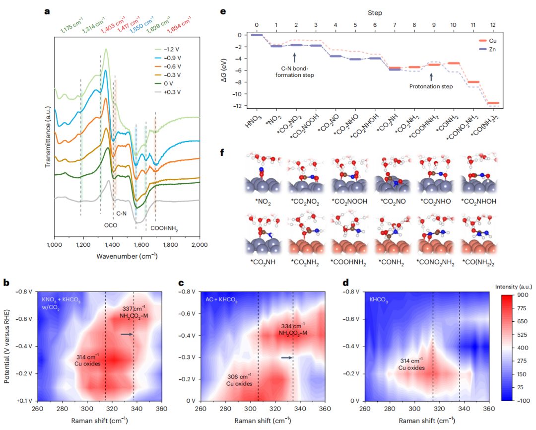 超燃！他，Nature Catalysis、Science Advances再次背靠背！