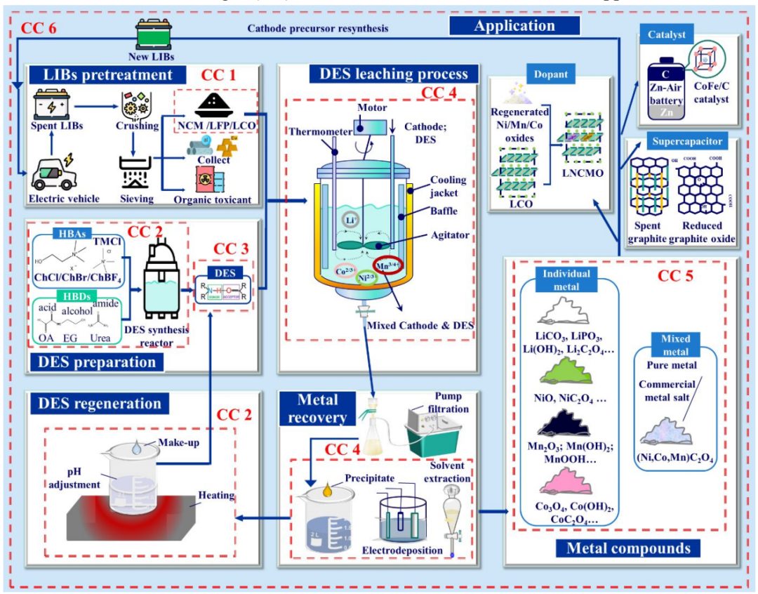 ?【DFT+實驗】郭再萍最新EES綜述：利用低共熔溶劑綠色回收廢舊鋰離子電池正極