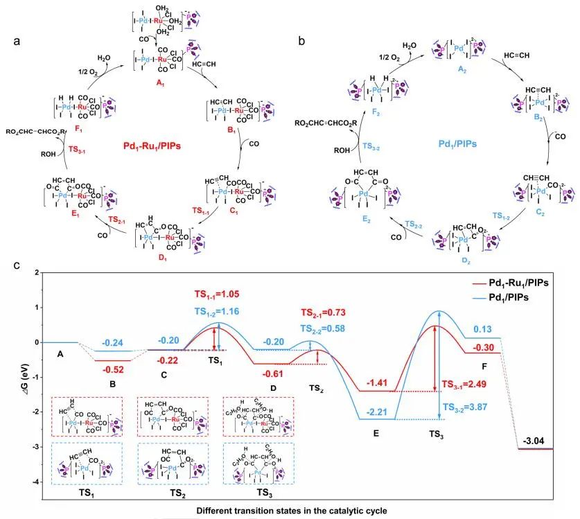 【DFT+實(shí)驗(yàn)】丁云杰/韓仲康A(chǔ)ngew.：近100%選擇性！Pd1-Ru1/PIPs助力乙炔雙羰基化