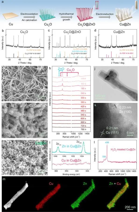 天大ACS Nano: 尿素產(chǎn)率達7.29 umol cm-2 h-1！Cu@Zn納米線用于高效電合成尿素