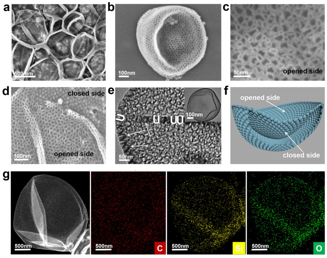 趙東元院士，最新JACS！