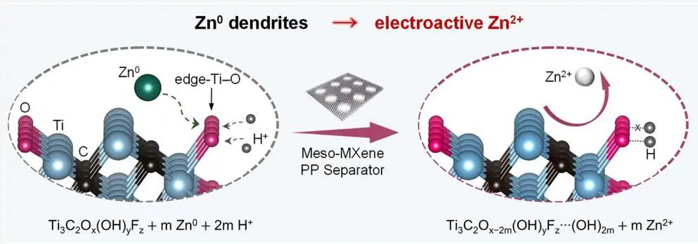 ?趙東元院士/晁棟梁研究員，最新JACS！