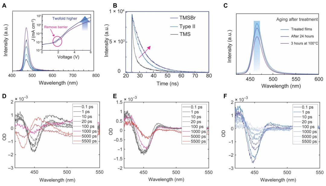 超燃！他，Nature Catalysis、Science Advances再次背靠背！