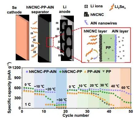 南大AM：1+1＞2！高倍率Li-Se電池運(yùn)行溫度-30至60 °C