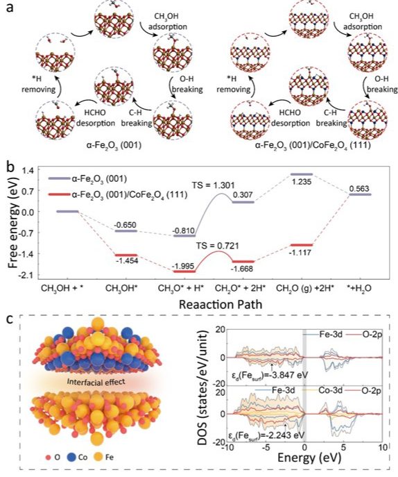 【計(jì)算+實(shí)驗(yàn)】案例解讀：3篇Nature子刊、4篇Adv. Mater.、1篇Angew最新頂刊集錦！