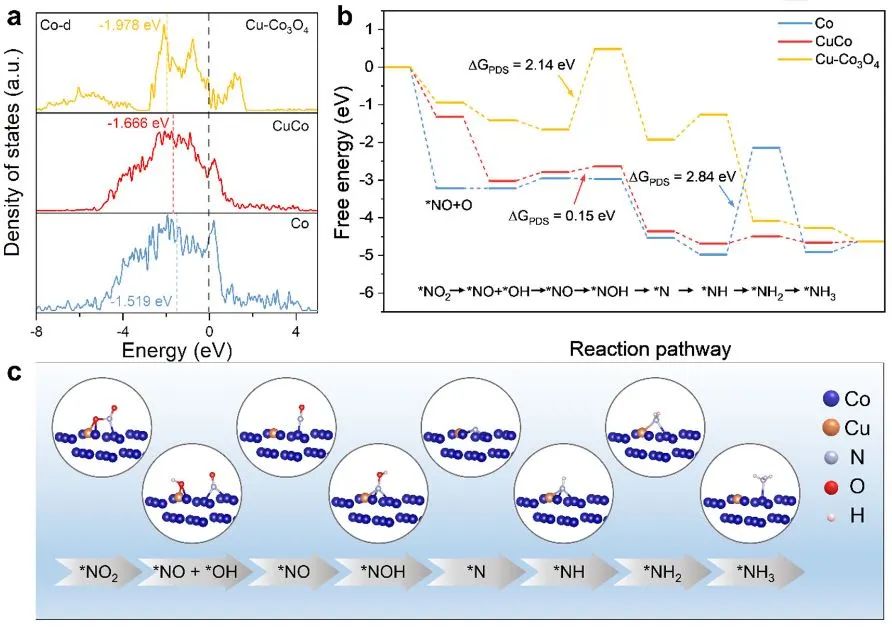 計算日報||頂刊集錦：JACS/Angew/AM/ACS Catal./Small等計算成果