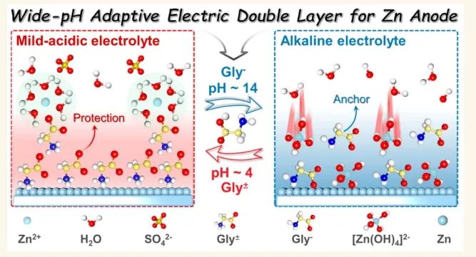 福建師大ACS Nano：自適應(yīng)電離誘導(dǎo)可調(diào)諧雙電層適用于寬pH和溫度范圍鋅金屬電池