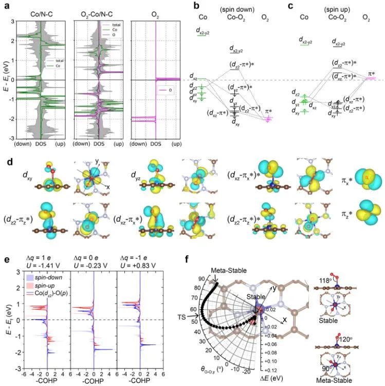 南開大學?JACS：M-N-C單原子催化劑中電勢驅(qū)動的吸附能反轉(zhuǎn)