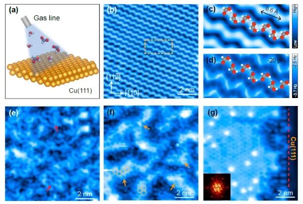 郭靜/曹端云/郭慶JACS：STM/AFM結(jié)合理論計(jì)算，證實(shí)界面水促進(jìn)Cu(111)上甲酸去質(zhì)子化