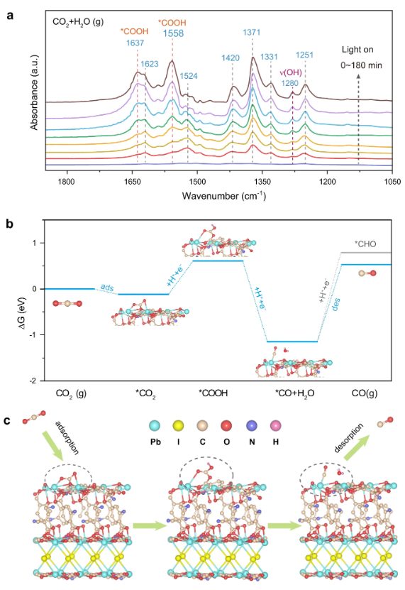 【計算+實(shí)驗(yàn)】頂刊案例解讀：JACS、EES、Angew、Nature子刊、ACS Catalysis、ACS Nano等成果！