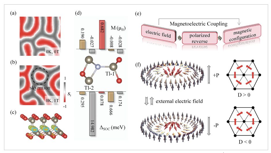 【純計(jì)算】AFM：二維晶格中的d0磁性skyrmions