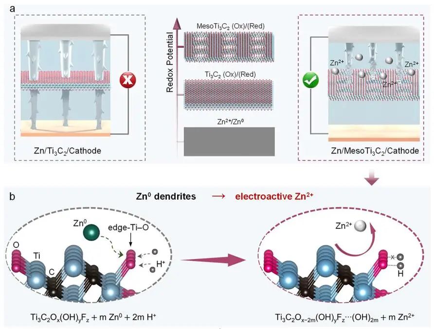 ?趙東元院士/晁棟梁研究員，最新JACS！