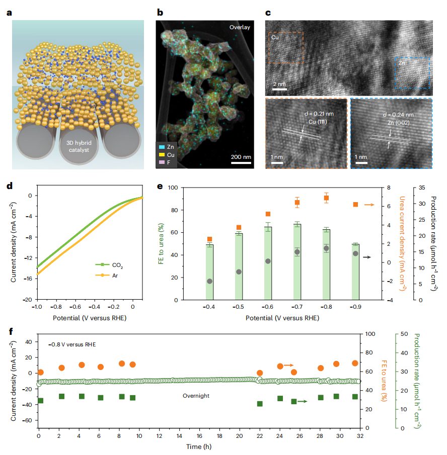 超燃！他，Nature Catalysis、Science Advances再次背靠背！