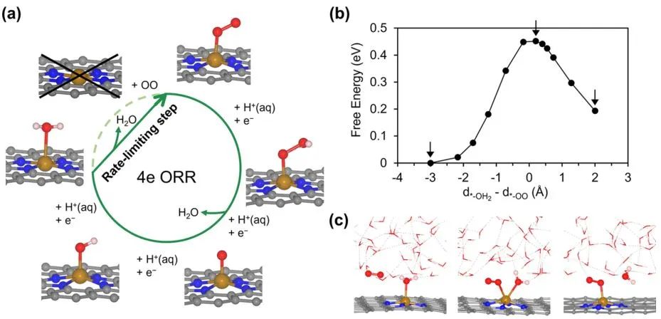 計算日報||頂刊集錦：JACS/Angew/AM/ACS Catal./Small等計算成果