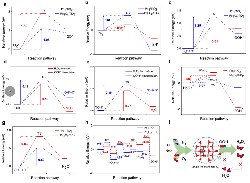 最新【計算+實驗】案例解讀：Nature子刊、JACS 、Angew、ACS Catalysis、ACS Nano等