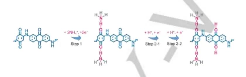 ?同濟(jì)劉明賢Angew：有機(jī)超結(jié)構(gòu)中非金屬NH4+/H+電荷載體共儲(chǔ)能機(jī)制構(gòu)建高性能水系鋅-有機(jī)電池