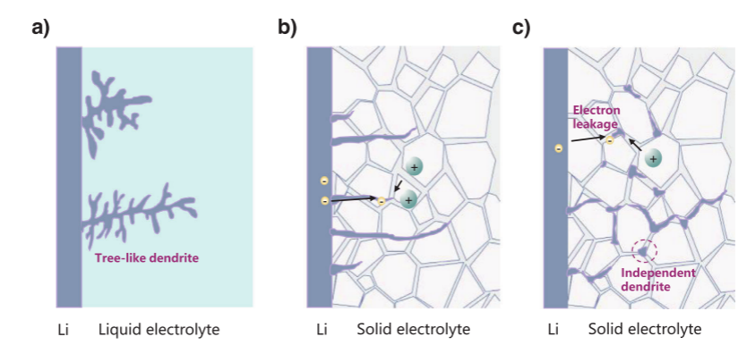 【純計算】港中文Zhengcheng Gu教授AEM：全固態(tài)鋰金屬電池中陽極引發(fā)和晶界引發(fā)枝晶形成機(jī)制的研究進(jìn)展