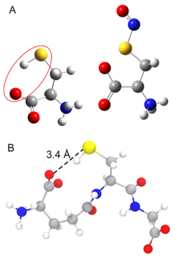 【純計算】JACS: 銅金屬-有機(jī)骨架催化S-亞硝基谷胱甘肽生成NO機(jī)制的計算研究