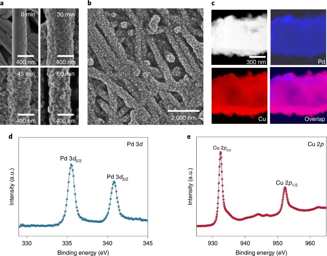 Edward H. Sargent院士和王瑩教授，最新Nature Catalysis！