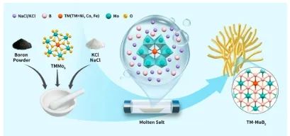 東北師范大學ACS Energy Letters：過渡金屬單原子修飾MoB2，用于高效穩(wěn)定電催化HER