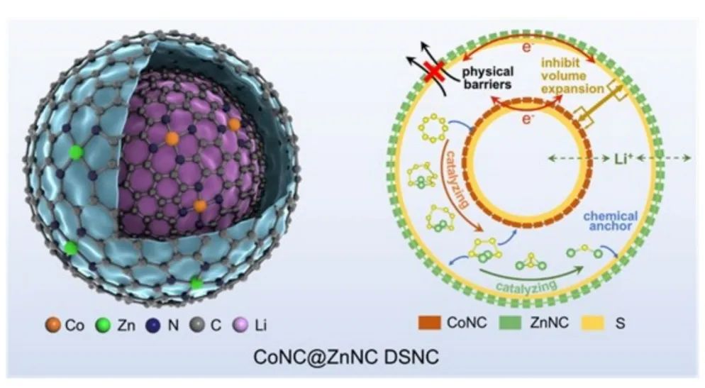 ?北化工劉文AM：雙殼納米籠內(nèi)的串聯(lián)催化實現(xiàn)高性能鋰硫電池