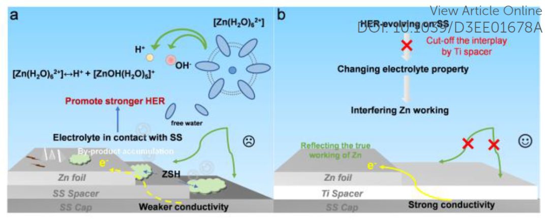 數(shù)篇Science、Nature中招，紐扣電池測試有陷阱！最新EES喊你來避雷！