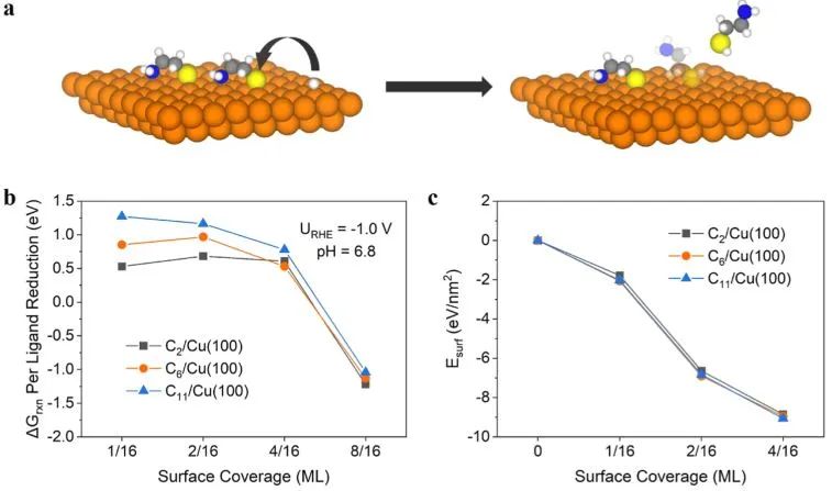 計算日報||頂刊集錦：JACS/Angew/AM/ACS Catal./Small等計算成果