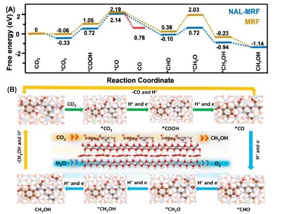 催化日報||頂刊集錦：Nature子刊/JACS/Angew/AM/ACS Catal./ACS Energy Lett.等成果