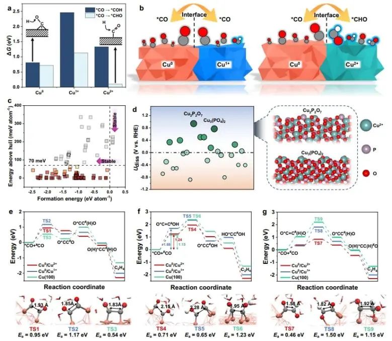 催化日報||頂刊集錦：Nature子刊/JACS/Angew/AM/ACS Catal./ACS Energy Lett.等成果