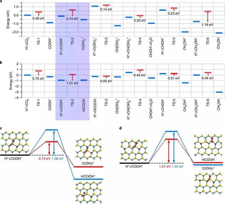 從這篇爆款Science說(shuō)起：計(jì)算模擬如何在催化領(lǐng)域大顯神通？