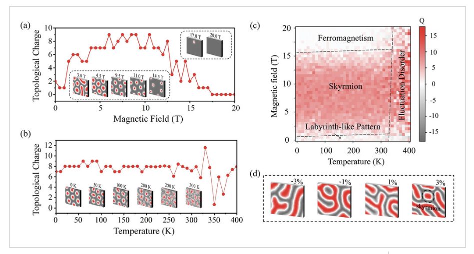 【純計(jì)算】AFM：二維晶格中的d0磁性skyrmions