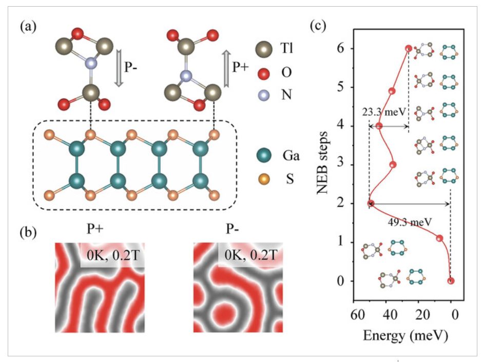 【純計(jì)算】AFM：二維晶格中的d0磁性skyrmions