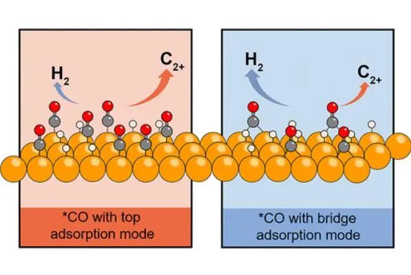 中科大耿志剛Nano Lett.：了解*CO覆蓋率對CO2電還原中C-C耦合的影響