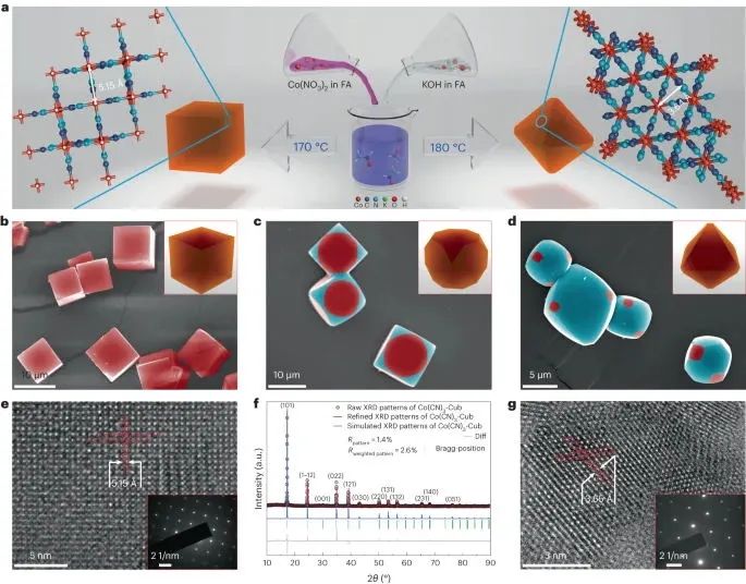 北化工，最新Nature Catalysis！