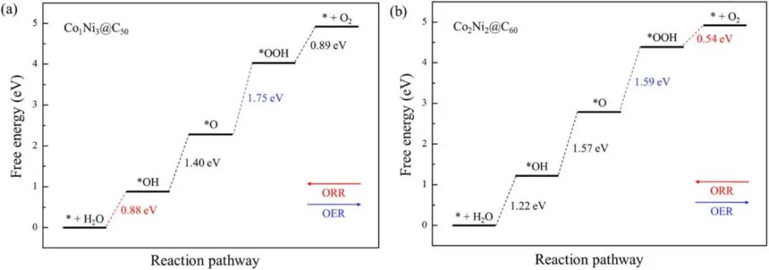 【純計(jì)算論文】J. Alloys Compd：富勒烯中封裝的雙金屬合金助力氧還原/析氧反應(yīng)