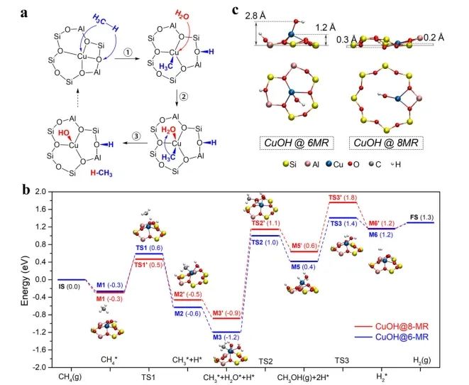 催化日?qǐng)?bào)||頂刊集錦：Nature子刊/JACS/Angew./EES/ACS Nano等成果