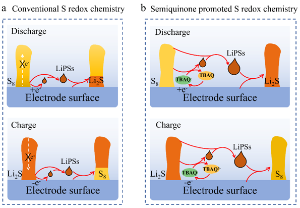 【DFT+實(shí)驗(yàn)】河南大學(xué)趙勇團(tuán)隊(duì)Angew：半醌雙功能液相催化劑構(gòu)建S?Li2S固/液/固反應(yīng)路徑提升鋰硫電池性能新進(jìn)展
